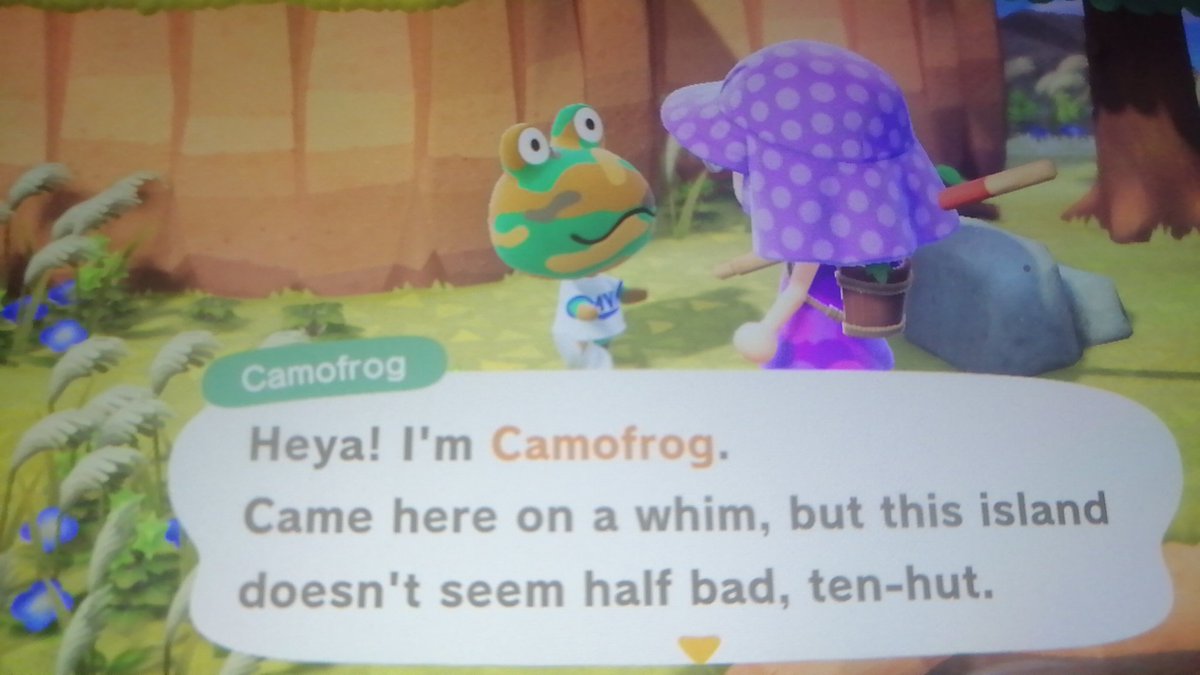 Island 4: Camofrog  I didn't realise his name was actually Camofrog I just thought people didn't know his name...