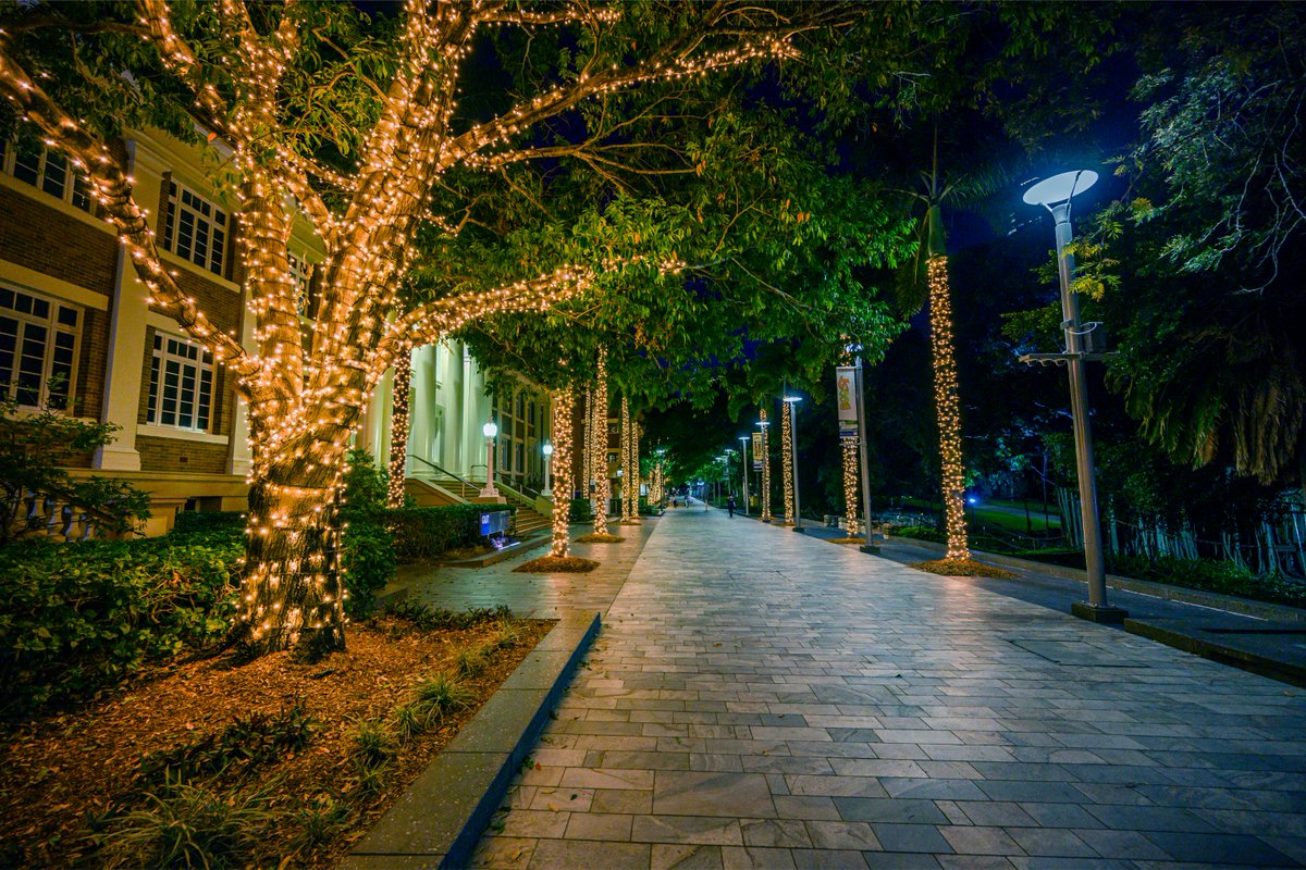 QUT's tweet photo. Did you know our Gardens Point computer labs are open 24 hours? Find a study space here: https://t.co/GJ2jNIpNrt #QUT #QUTLife https://t.co/mJ7Ywe0KeZ