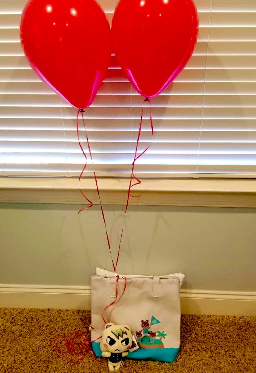 Got my wife a few ACNH treats for her bday! She loved it! #acnh