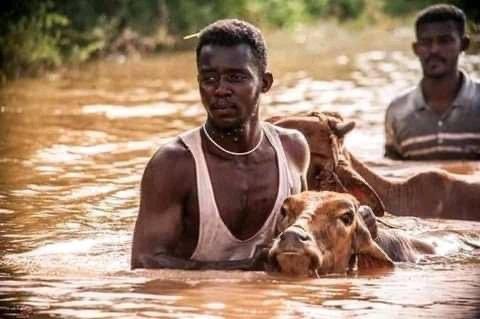 NASEER_OB's tweet photo. شعب #السودان لايستحق الا الخير ، لإنهم اهل خير وصدق وحسن معشر وحسن جوار 

قلوبنا معكم ، الله يعوضهم خيراً 💚🙏🏼 https://t.co/dtuoAE6byK