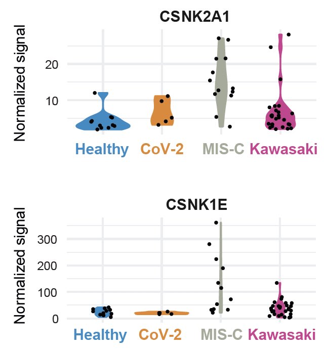 The most intriguing is the comparison of autoantibodies. MIS-C patients have higher levels of antibodies to MAP2K2 and to Casein kinase family members  On the other hand, Kawasaki patients had  autoantibody against EDIL3. (5/)