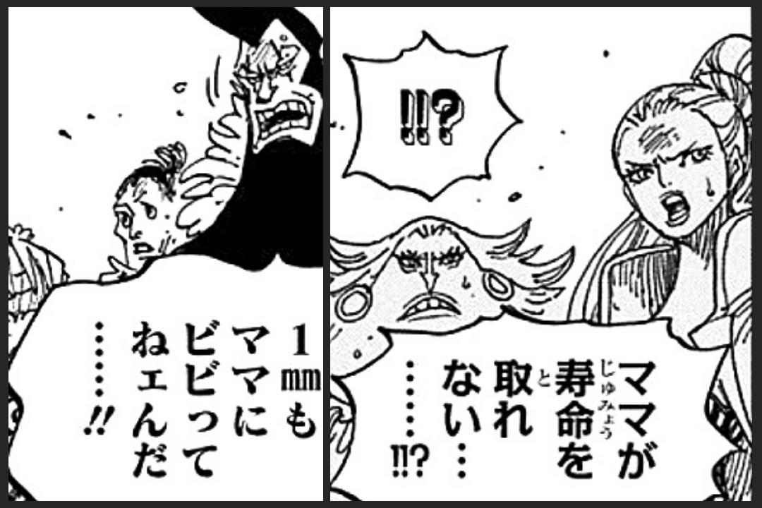 まな 在 Twitter 上 四皇ビッグマムを前にして 怯むどころかサラリと往なしてしまったフランキーを始めとする一味のアダルト組 この 大人の余裕 が本当に頼もしい 魂を吸い取る ソウルポーカス も効かず ブルックの 魂の叫び によりホーミーズも無効化される