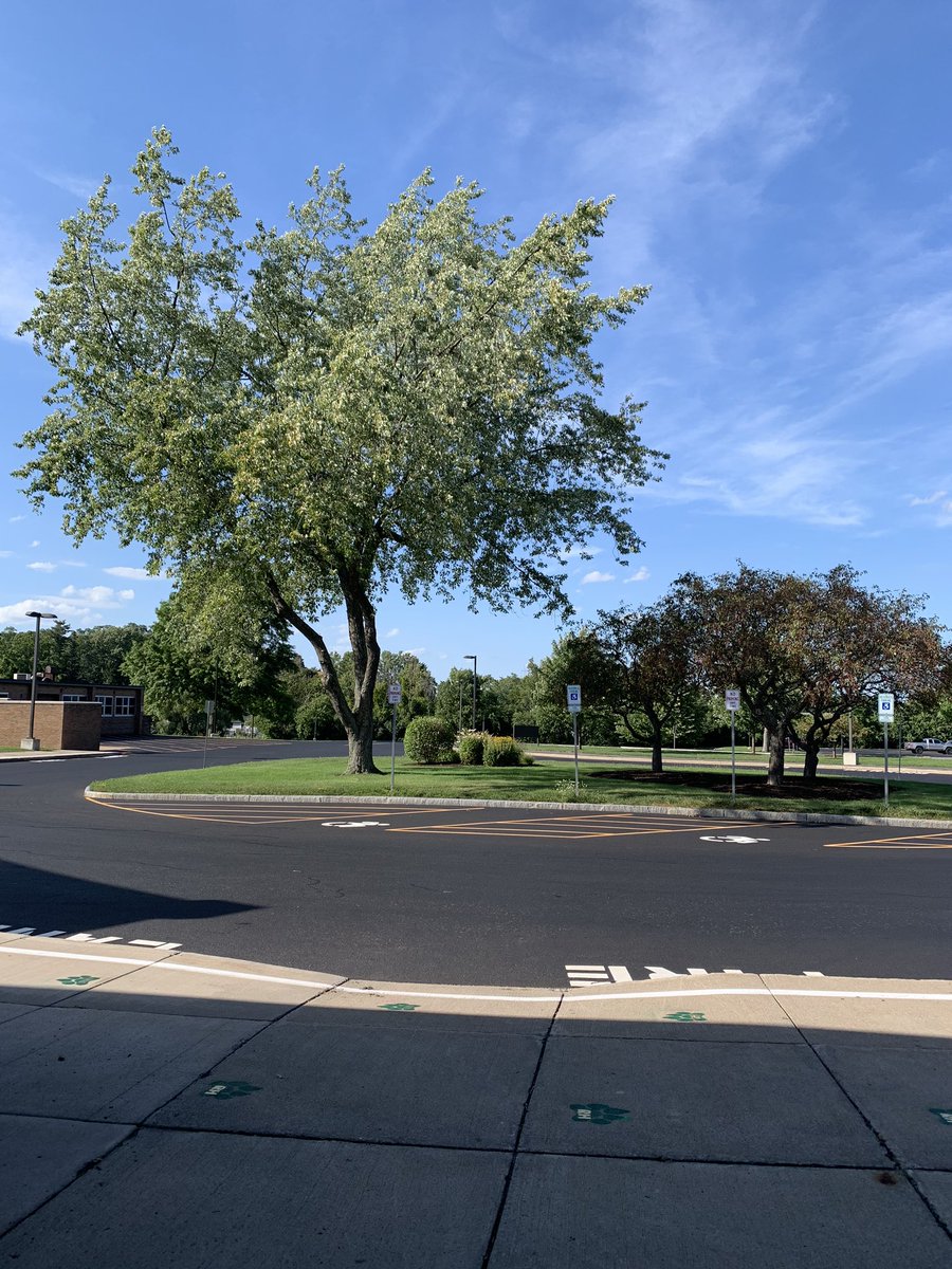 MrsMacko's tweet photo. We are ready at Roth JHS!  I am so excited to welcome Cohort 2 to school on Tuesday and Cohort 1 to school on Thursday!  #RothStrong https://t.co/Hlj0lYHqNS