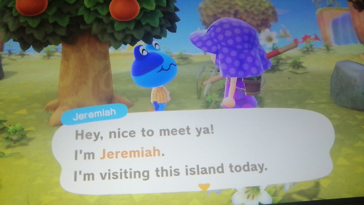 Island 11! Jeremiah. A cute lil froggy 