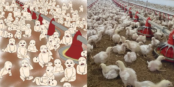 ブロイラーのtwitterイラスト検索結果