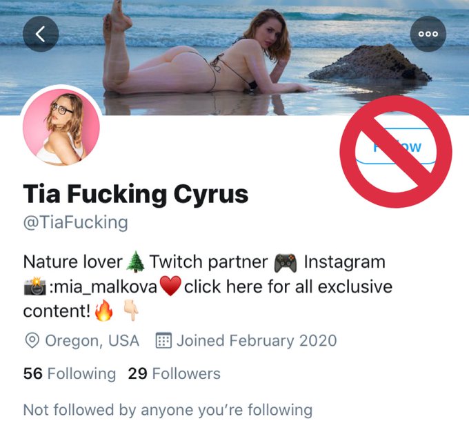 🚨ANNOUNCEMENT🚨  🆘 I NEED EVERYONES HELP! PLS REPORT &amp; BLOCK🚫THESE 4 FAKE ACCOUNTS🤬  There are SEVERAL<a href="/tag/newprofilepic"class="tags"><span>#newprofilepic</span></a>