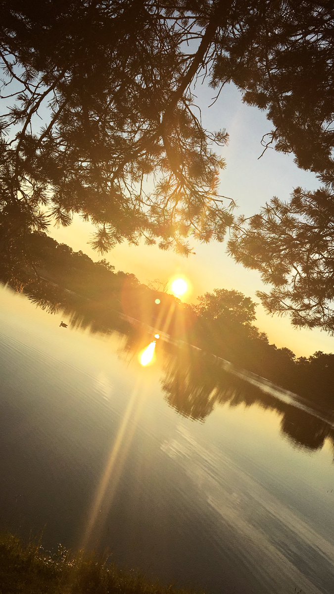 Watching the sun set over water is so soothing, also that duck 