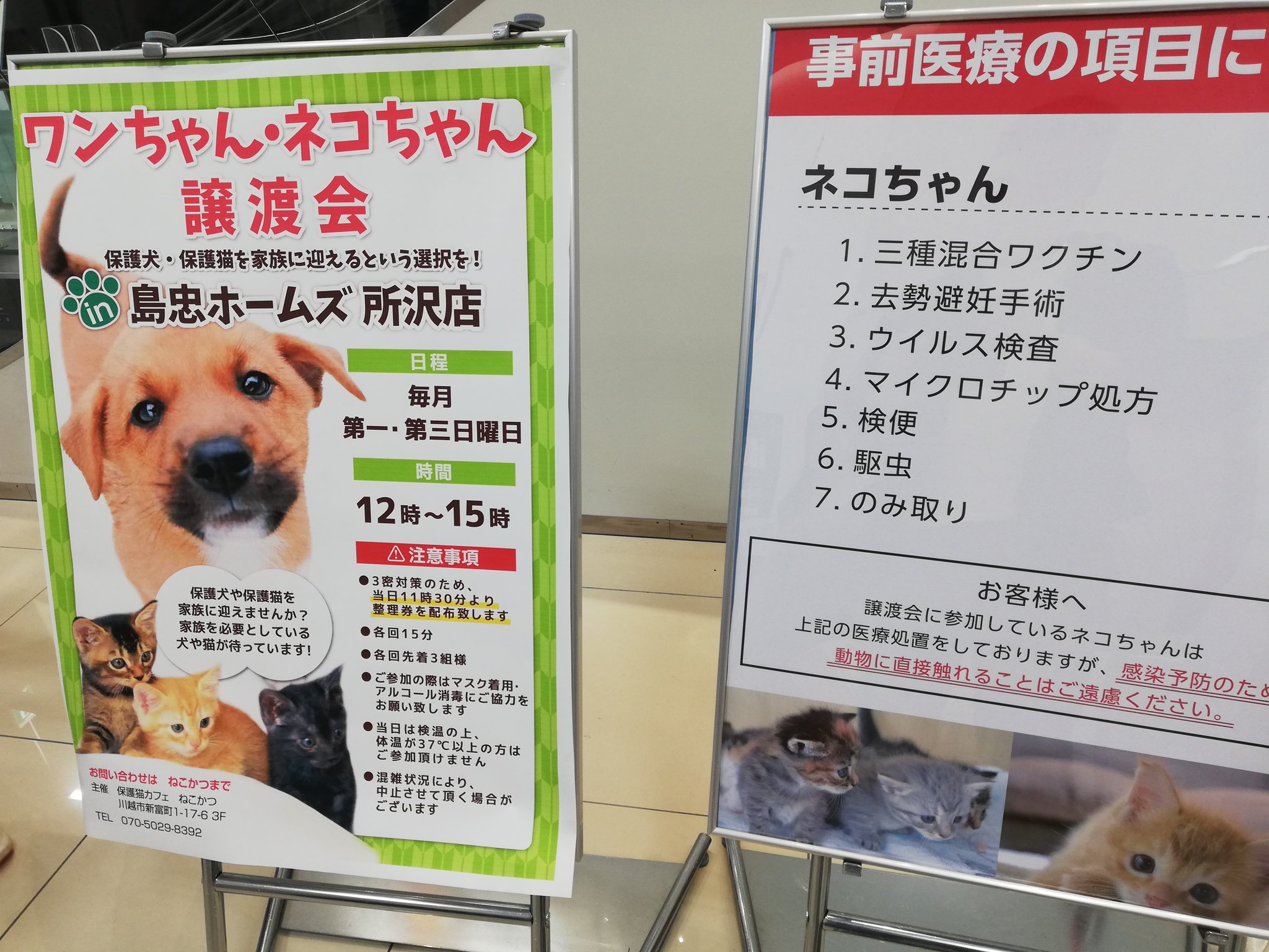 保護猫カフェねこかつ 川越 大宮日進 島忠ホームズ所沢店さまにて保護犬保護猫譲渡会でした 島忠ホームズ所沢店さまでは毎月2回第1第3日曜日に譲渡会を開催させていただいております 常設のご寄付ボックスにたくさんのご支援物質をありがとうご