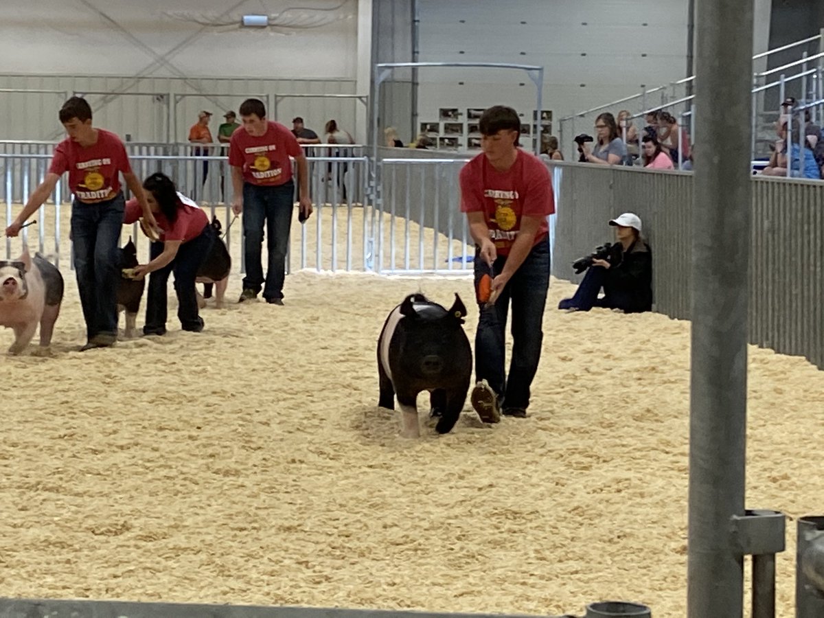 Great day representing <a href="/hcsdogpound/">Heartland Huskies</a> and <a href="/HeartlandFFA/">Heartland FFA</a> at the NE State Fair!! Grand Champion Berkshire Market Gilt. Crossbred Market Gilt class winner.