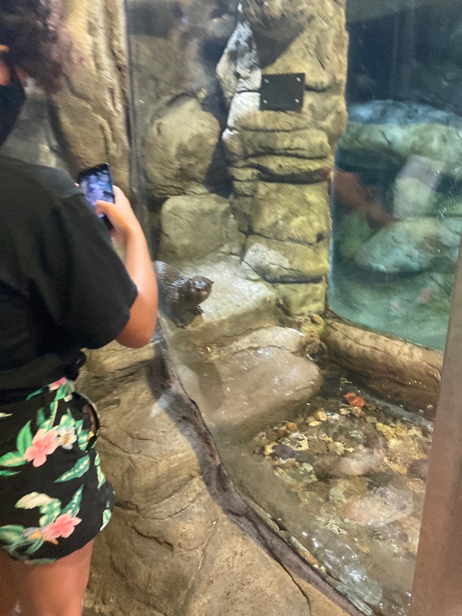 Water ferret boi otters