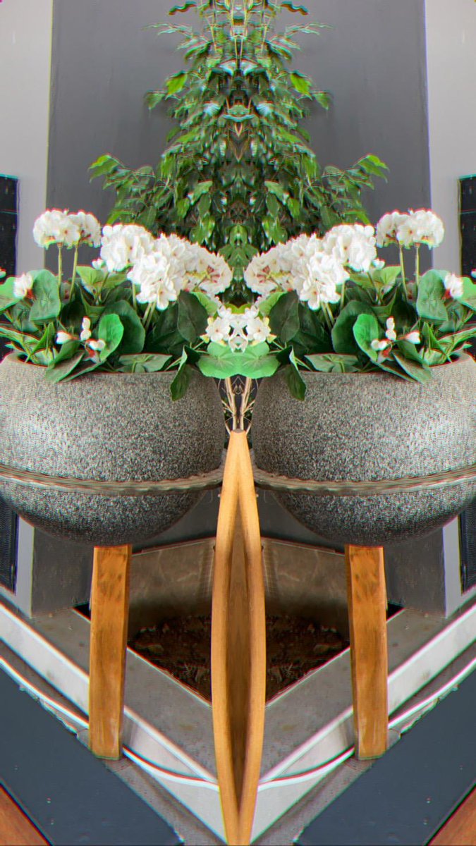 Burcuskar's tweet photo. Dönüşüm Geometrisi:) #transformationgeometry #reflection https://t.co/ybVJlIhRgR