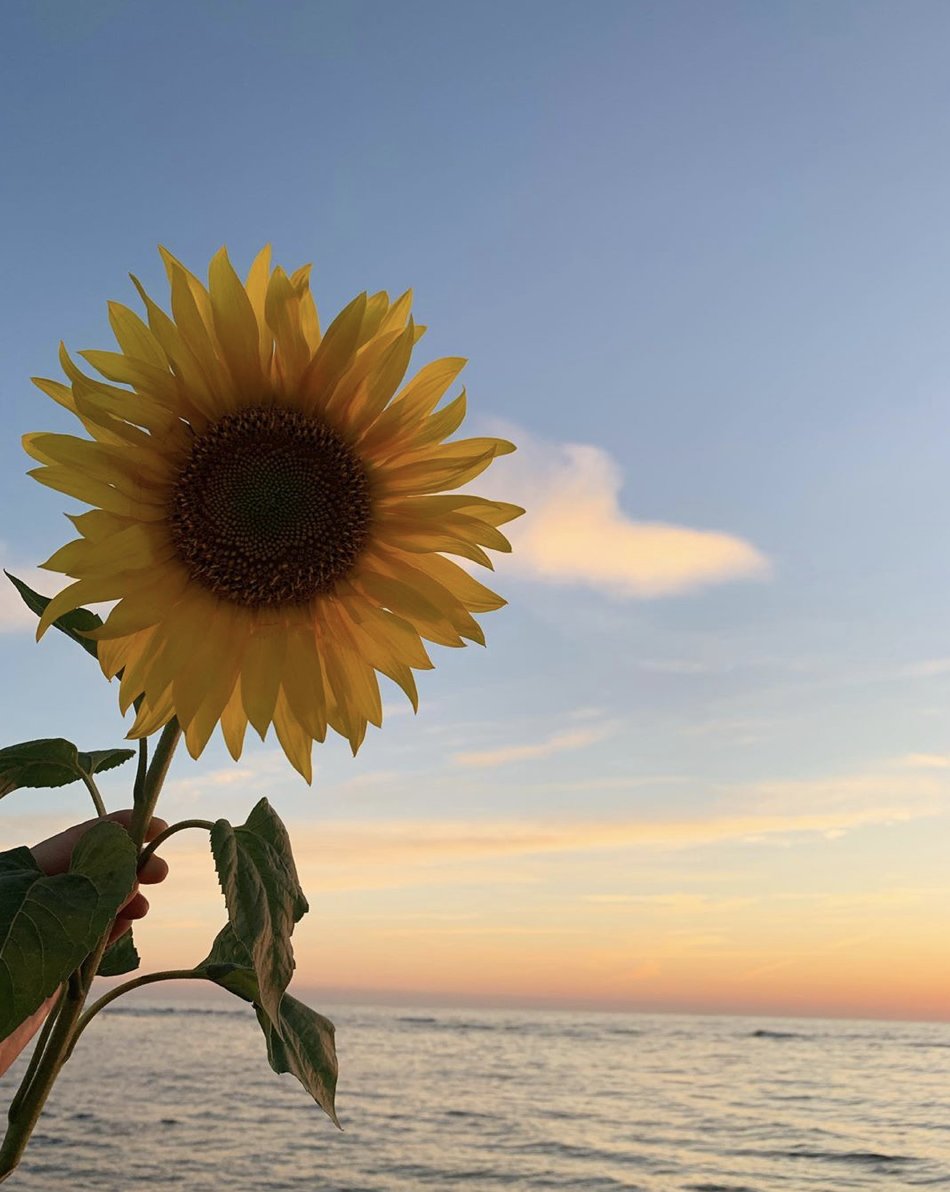 PSA: there are still 15 days of summer left- it's not over until we (The Met Office) say it's over! 🌞

Via: prosenkilde