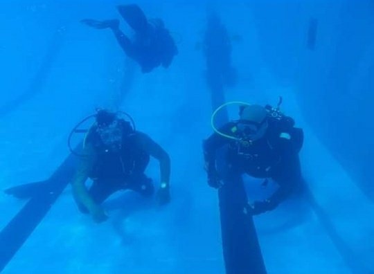 DavidSmilerXII's tweet photo. Look at these idiots in the New Zealand Diving School. Wearing masks. Don't they know they'll black out. Just learn to breathe water like the rest of us you losers. #maskstories
*tiny worded disclaimer*
The views in this tweet do not reflect the Twit who Tweeted this. https://t.co/NyPRSySDGZ