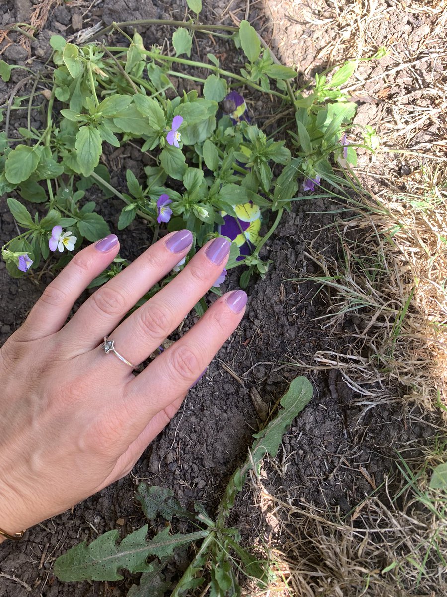 SculptureBio's tweet photo. Mauve Regalia This gel is from the Nights in Rome @biosculpture collection #manicure #freshnails #nailtech https://t.co/uaZttNFIYq