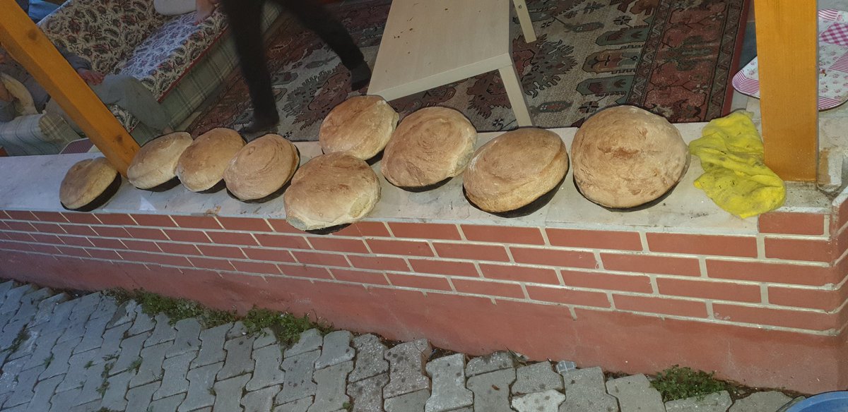 celikrudi's tweet photo. @Mikdatca Ekşi maya ekmeği mi dedin hocam. Hafta sonu arabana bineceksin ve Sakarya Pamukova'ya gelip bir fırın ekmek ile İstanbul'a geri döneceksin Secgili hocam😉 https://t.co/1KsfSPUcQ7 https://t.co/JDpbXssyOM