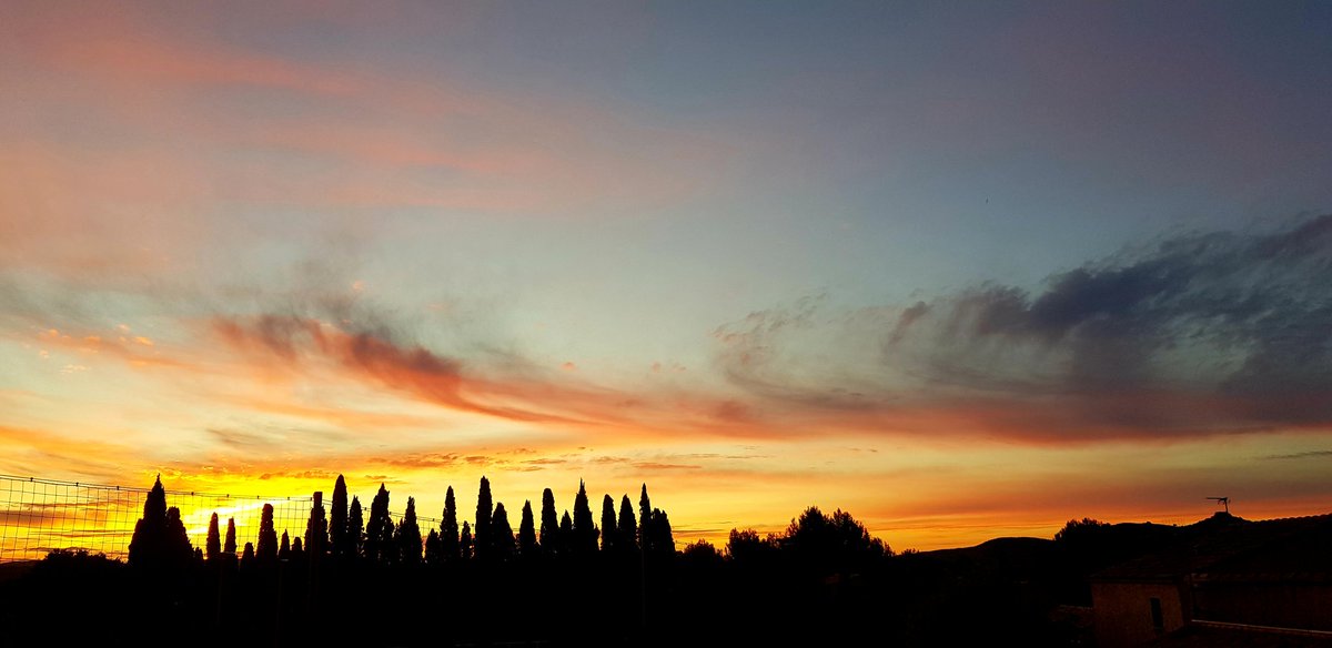 MarCalloch's tweet image. Belle journée à tous