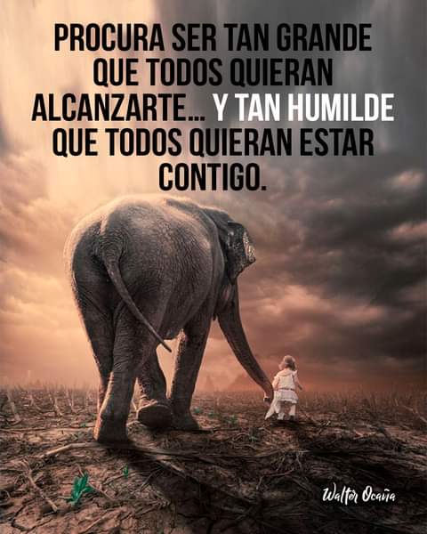 Andrea12022011's tweet photo. Que bello mensaje #SerHumilde https://t.co/pg8nq3pi5C