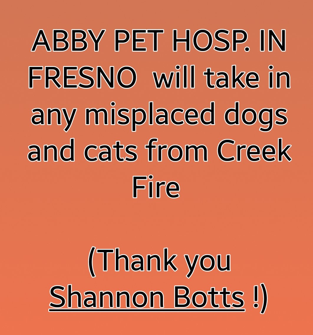   #CreekFire  #FresnoCountyAbby Pet Hospital can board evacuated  #cats &  #dogs  559-442-1127Facility  http://abbypethospital.com/?y_source=1_MTE2Njg5MTAtNzE1LWxvY2F0aW9uLndlYnNpdGU%3DPost  http://m.facebook.com/story.php?story_fbid=2746448022123221&id=100002741501607 #MaderaCounty  #Animals  #Pets  #Evacuations  #DAT  #California