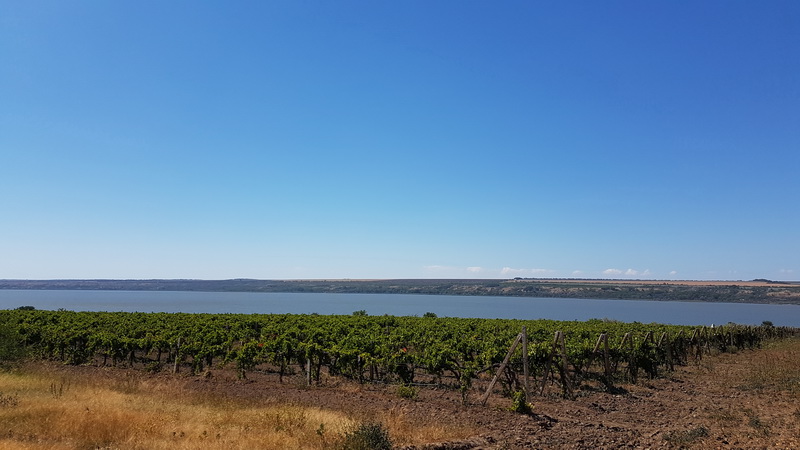 UkrainaTravel's tweet photo. Only in UKRAINIAN BESSARABIA you can see:

1. Manual village on water VILKOVO where the Danube river flows into the Black Sea (it called - Kilometer Zero).
2. The biggest natural lake of Ukraine is here too. It is YALPUG.
3. The fantastic view of the endless steppe. https://t.co/rQdoVyBgO9