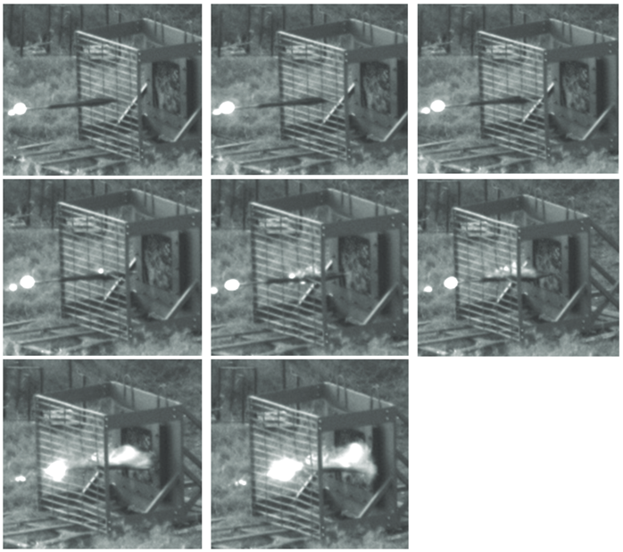 The warhead is also critically damaged, neutralising it or degrading its efficacy greatly, and/or catching it so it is stuck in the bars having not impacted the vehicle or (ideally) detonated