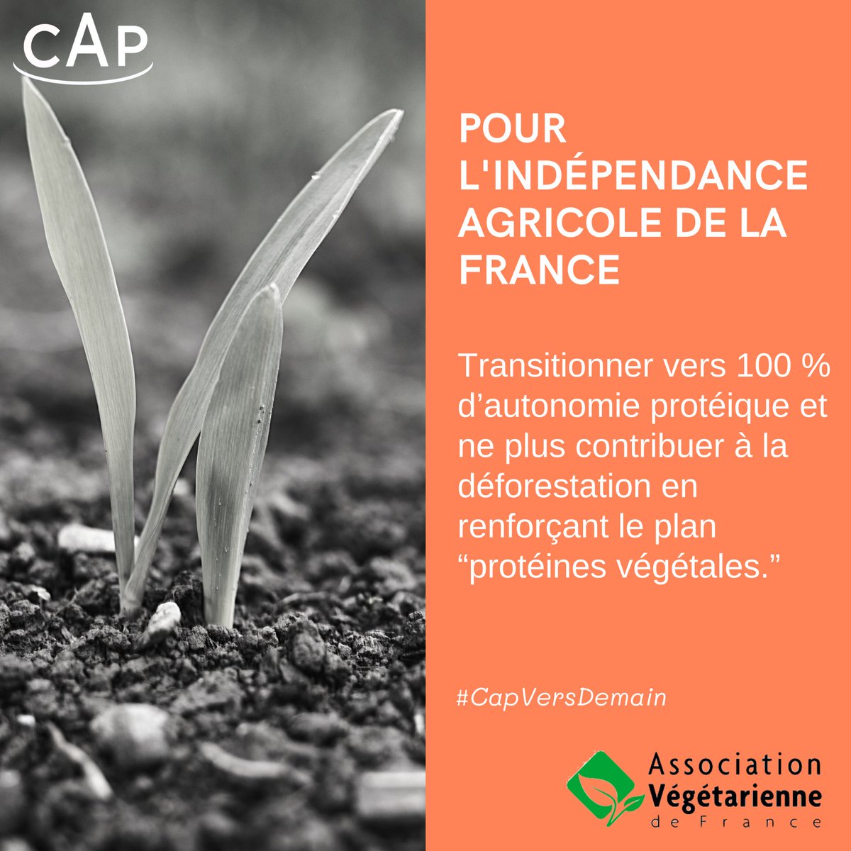 CAPpolitique's tweet photo. 🌾 @Agri_Gouv dote le plan protéines végétales de 100M d’€ pour diminuer l’importation de protéines pour l’élevage.
Pas tout à fait ce que @VegetarismeAVF demande dans les https://t.co/iYt0FhD0ZX, mais c’est bien un pas vers l’indépendance agricole de la 🇫🇷. 👍🏼
#CapVersDemain https://t.co/Voznv65c7i