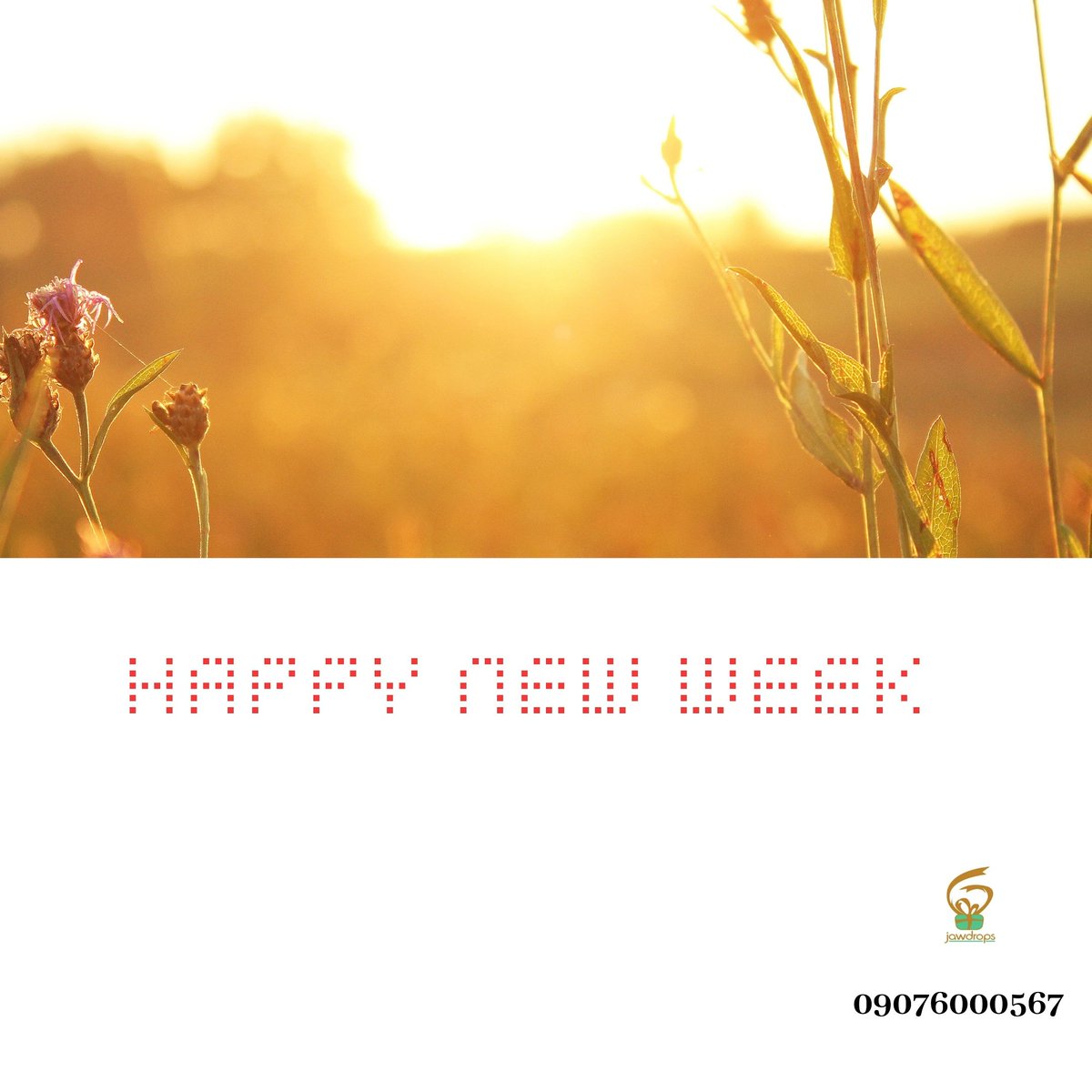 jawdropsph's tweet photo. Wishing all gifters a happy new week

#jawdropsph #lagos #ph #laycon #lucy #legitphvendor #tacha #lovelanguage #love #disqualify #mercylambo #ozo #prince #bbn5 #giftstore #kiddwaya #nengi #erica #giftvendor #phconnect #phvendor #vendor #legitvendor #businessesinph #phbusiness https://t.co/a7QEa3Da6e
