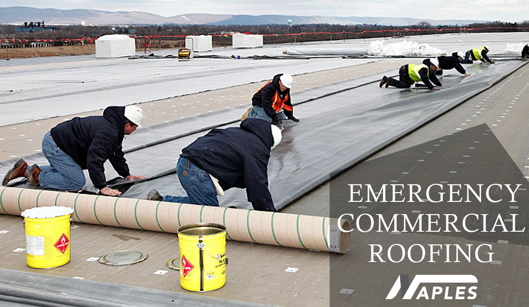 NaplesRoofingny's tweet photo. THE REASONS OF CHOOSING THE CERTIFIED CONTRACTORS FOR COMMERCIAL AND INDUSTRIAL ROOFING
#commercialroofing #roofingservice #industrialroofing #roofing #roofrepair #commercialroof #emergencyroof #roof #buildingroof #roofreplacement #EPDMroof #rollroofing
https://t.co/uQUgRHj06d https://t.co/bNfHOzi0bc
