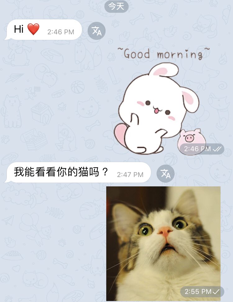 siulingyibb's tweet photo. Send比相熟既哥哥都話笑左
公開分享下
#笑料 #分享 #搞笑 #pussy #貓 #cat  #googletranslate #translate #翻譯 https://t.co/kpHl5pAtgA