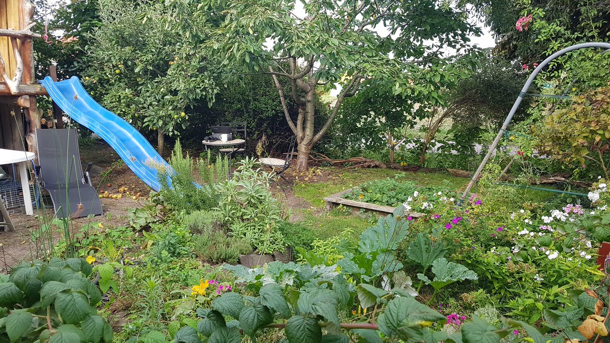 tobiasthiel's tweet photo. #Homeoffice - auch jenseits des #Lockdown #familienfreundlich und #gartennutzend #Spätsommer #coolerjob @JungeAkademieWB https://t.co/JlfqMzgwqI