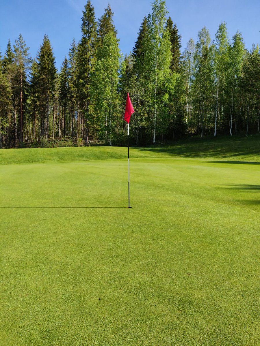 No nyt arvuutellaan kun porukka on toivonut! ⛳️ 🤔 🏌

Mikäs griini on kyseessä RevontuliGolfissa?

#Golfari #Golfkenttä #RevontuliGolf #MunTapaPelata