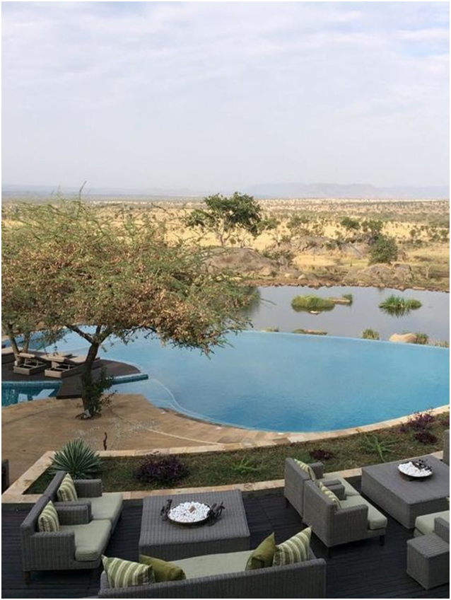 MillenniumTour_'s tweet photo. In Kenya Lodge Safari, have amazing view in the early morning but this one is like looking at the infinity.
More details visit us -
@https://millenniumtoursandtravel.com/
#safari #safarikenya #africanlodge #safarilodge #lodgesafari #africasafari #letsgosafari #booksafari https://t.co/NM6bm2jjQe