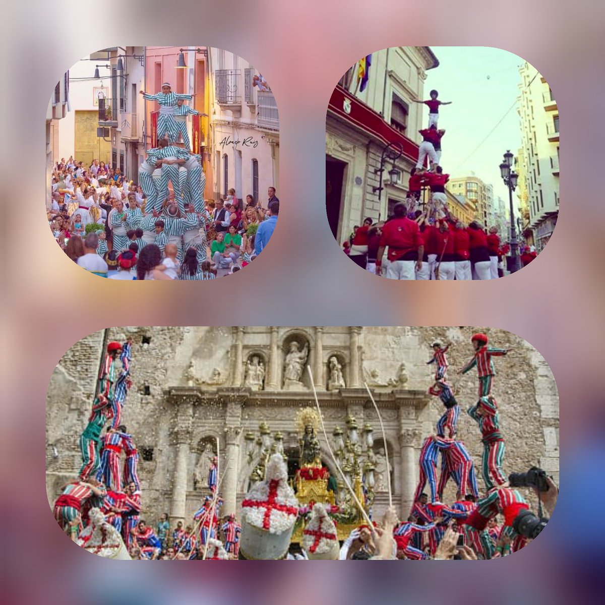 Federació Coordinadora de Muixerangues (@fcmuixerangues) on Twitter photo El 7 i 8 de setembre han sigut les dates que tradicionalment s'han alçat #torreshumanes x celebrar les marededéus en localitats del nostre País. A l'any que ve, en  Sueca, Alcúdia i Algemesí, però, s'alçaran més sòlides i amb més força. El 7 i 8 de setembre han sigut les dates que tradicionalment s'han alçat #torreshumanes x celebrar les marededéus en localitats del nostre País. A l'any que ve, en  Sueca, Alcúdia i Algemesí, però, s'alçaran més sòlides i amb més força.