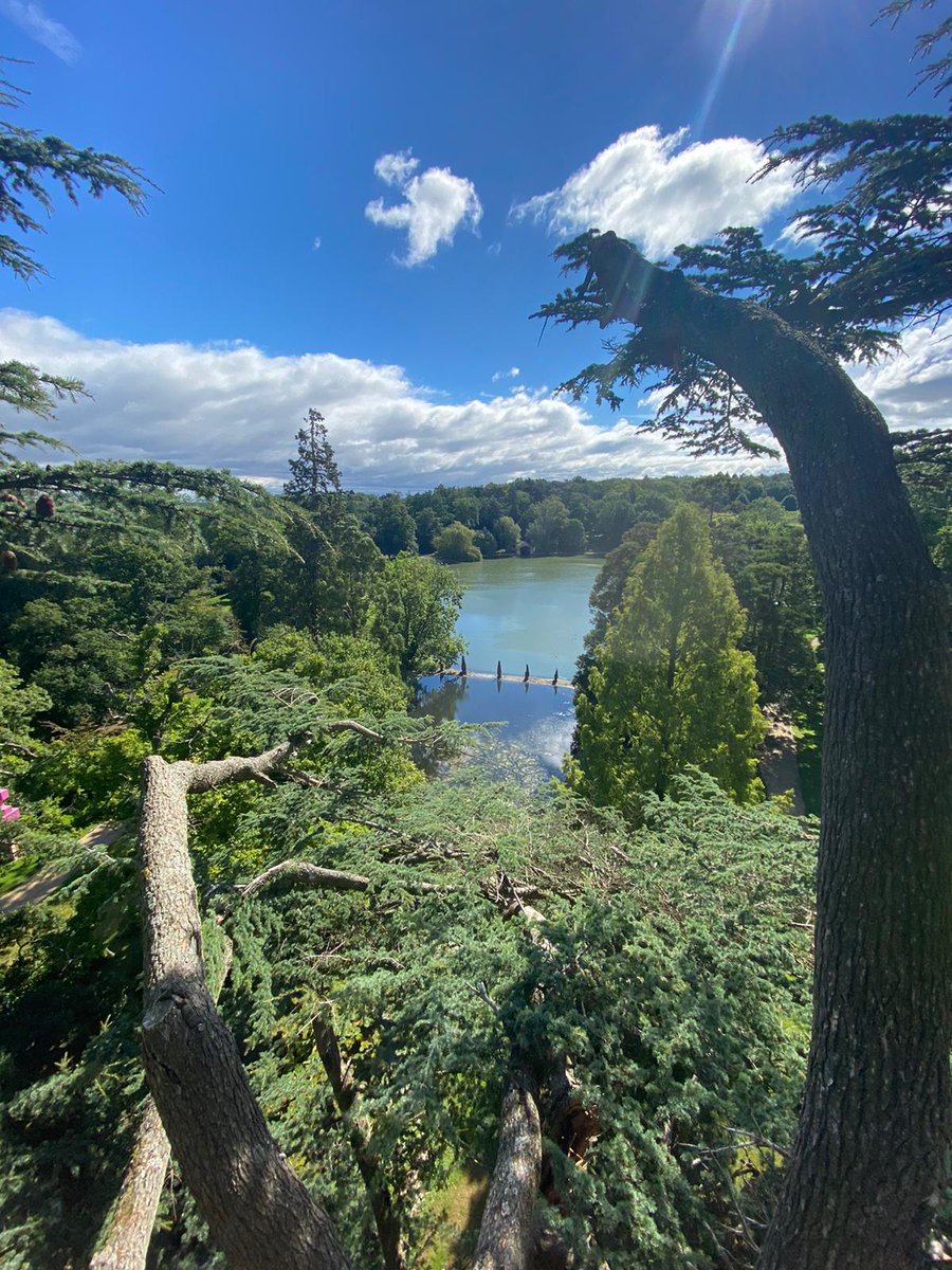 A few fantastic shots captured by Sam Trimmer Tree Services. 80ft high in one of Capability Brown's Cedar of Lebanon's, a unique photo opportunity to get an aerial glimpse of our magnificent Parkland and Capability Brown's Lake. 

#BurghleyPark #CapabilityBrown #Photography