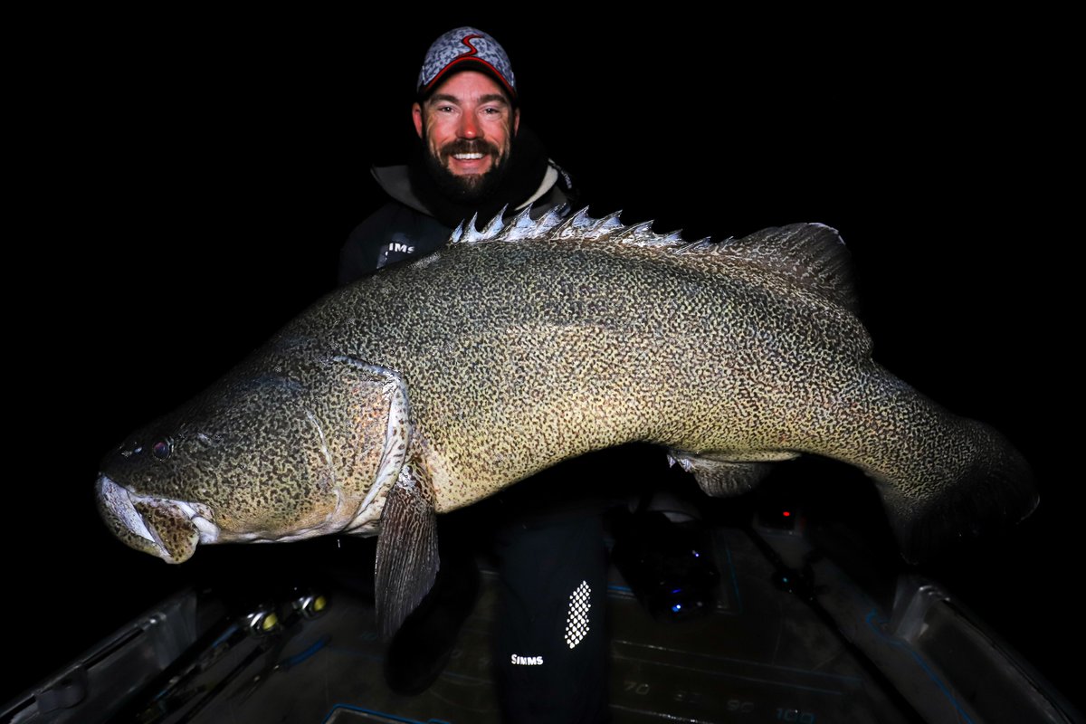 deandotfish's tweet photo. Caught this fish the morning of the night i caught my 108 so completely forgot about it... Such an incredible fish at the time that was overshadowed by my $1.08 that night...
.
.
#murraycod #codfishing #murraycodfishing #deansilvester #teamquantum #lowrancefishing https://t.co/DWSjDaZkp2
