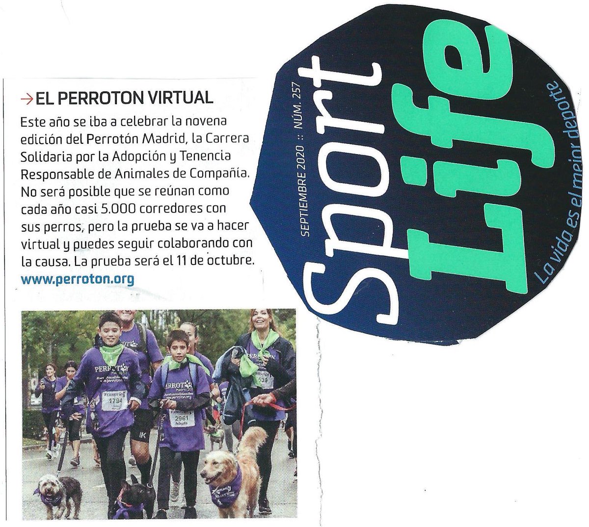 PerrotonEspana's tweet photo. @sportlife_es gracias por vuestro apoyo a #perroton2020 #yocorrocontraelabandono por una #adopción y #tenemciaresponsable 💜💚🐾 @ComunidadMadrid @MADRID @COLVEMA @AlejandraBotto @sergioscariolo @RoyalCanin_Es @BoehringerES @elcorteingles @Bankia @EFEyDeporte #virtual4kms https://t.co/sxtlzcLfBy