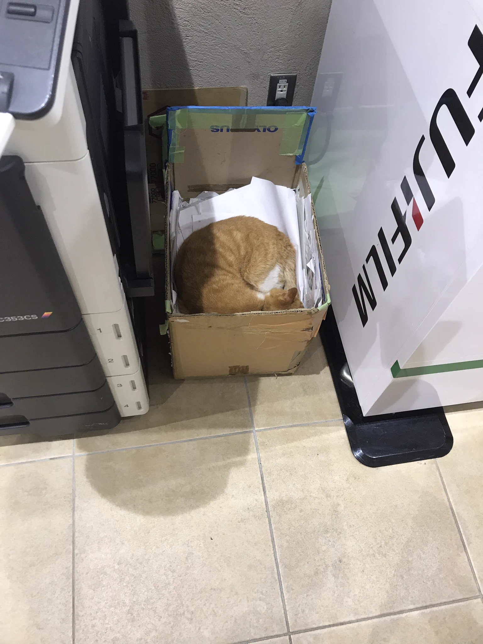 @animalkyat 学祭行った時にみた 