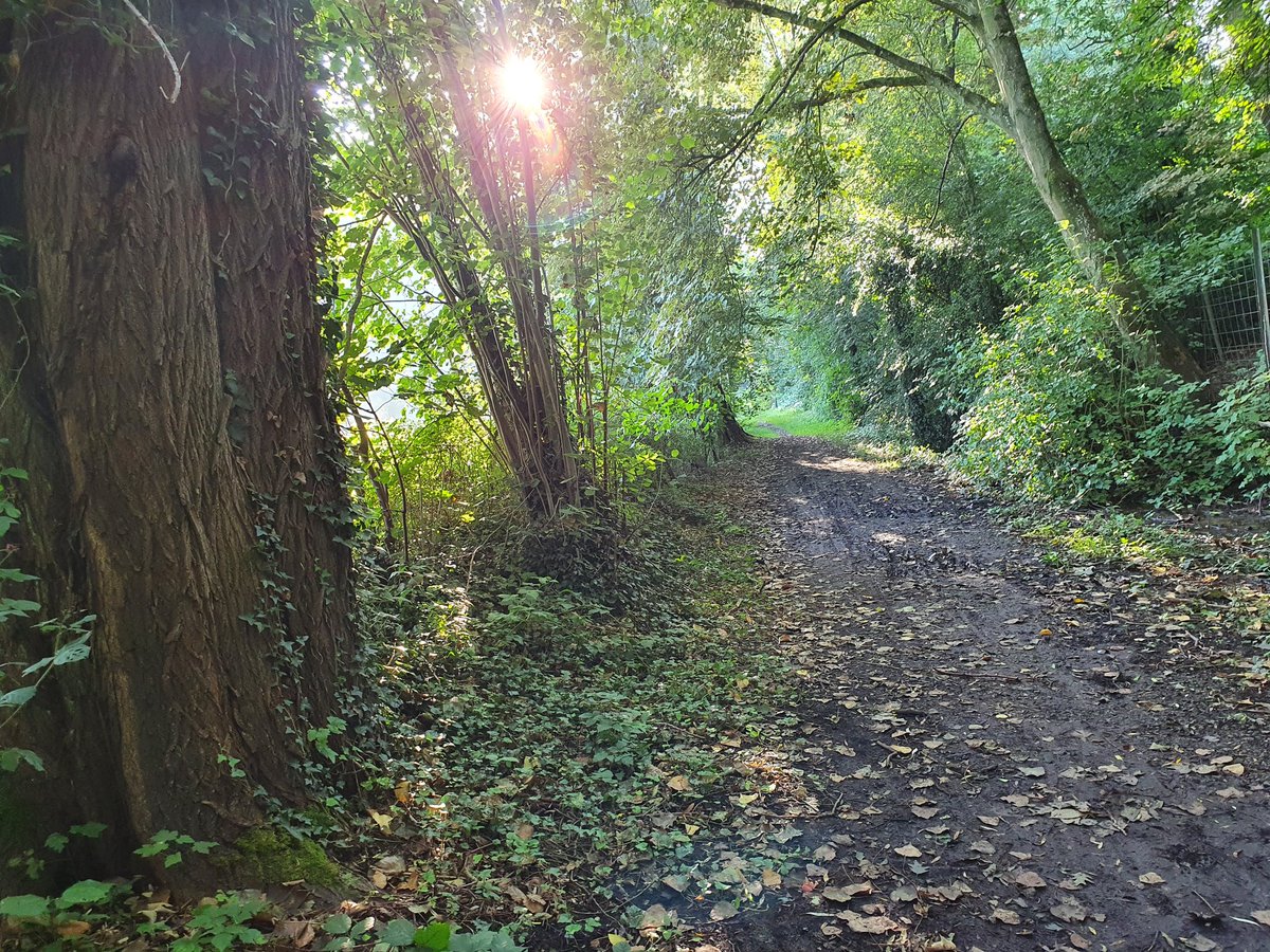 NoelSissau's tweet photo. 🚴‍♂️ Bij droog weer snij ik al eens een stuk af door dit valleitje in #Anderlues #woonwerkmetdefiets https://t.co/c7BMaTPBYd