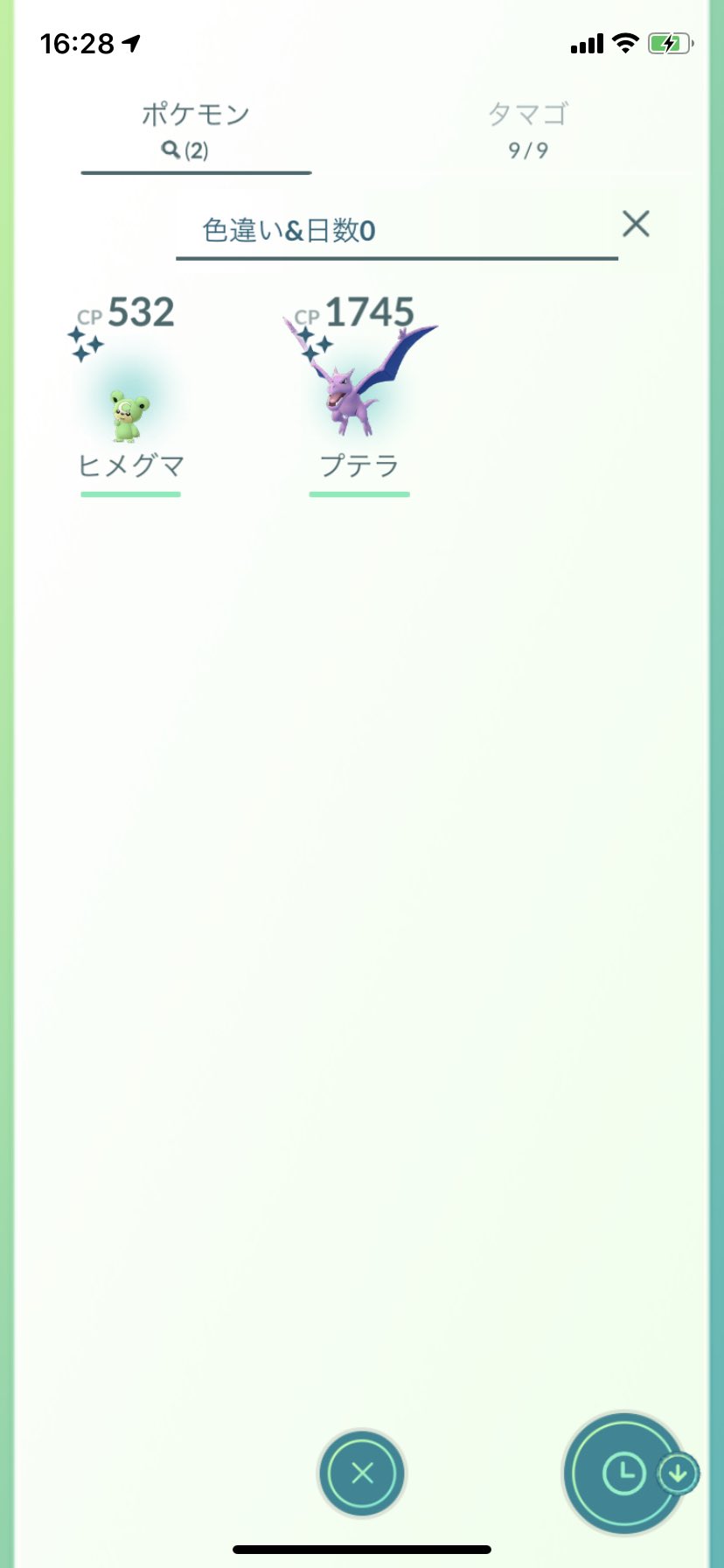 プテライロチ Twitter Search Twitter