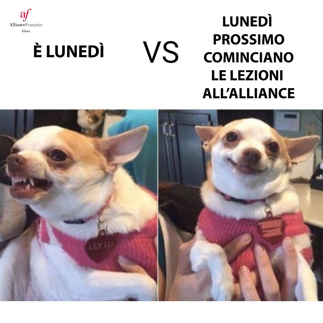 AF_Genova's tweet photo. ⏳ Manca una settimana all'inizio del corso per principianti!

***

📅 da lunedì 14 settembre a martedì 9 dicembre.
🕒 lunedì e mercoledì, dalle 17 alle 19.
⌛ Durata: 50 ore
💰 Tariffa: €10,00 l'ora!*

https://t.co/rUsjn8aQEv https://t.co/pktsjGip5d