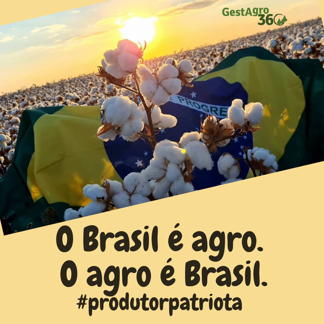 GestAgro360's tweet photo. #produtorpatriota #agrobrasileiro #agriculturabrasileira #minagricultura #amapa #GestAgro360 #semanadapátria #7deSetembro #IndependênciadoBrasil #DiadaIndependência #souagro #producaoagrícolabrasileira https://t.co/dH60IPacxy