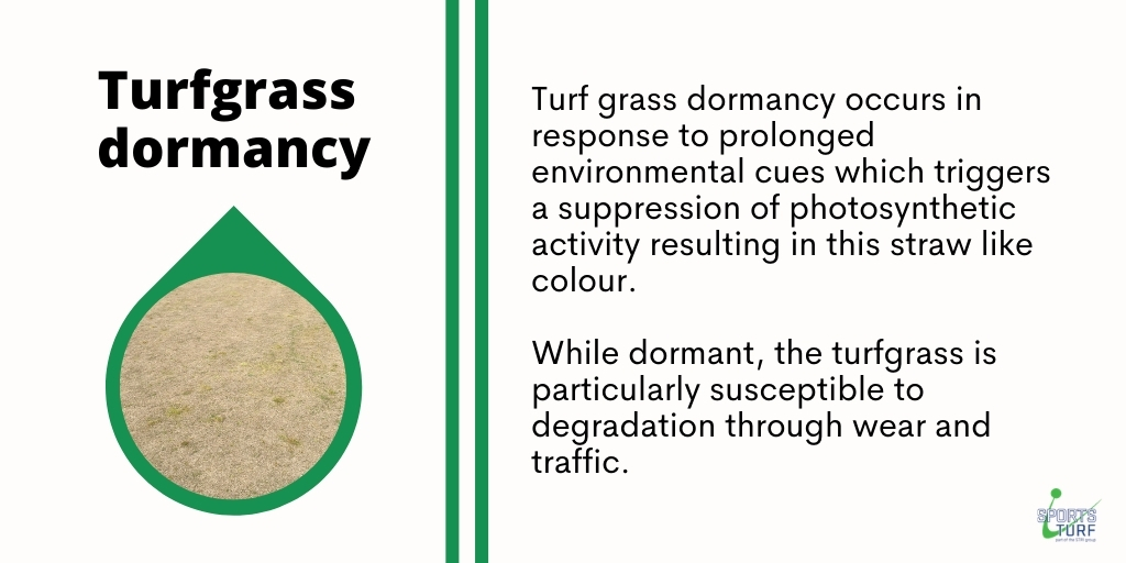 STRI_Australia's tweet photo. While #turfgrass dormancy cannot be fully avoided in most circumstances, getting your #soil tested for a chemical analysis of nutrients annually will allow you to reduce the period of dormancy. #STRIgroup #STRIaus https://t.co/fuHGf1nCFg