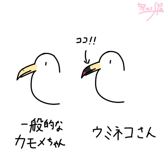ウミネコのtwitterイラスト検索結果 古い順