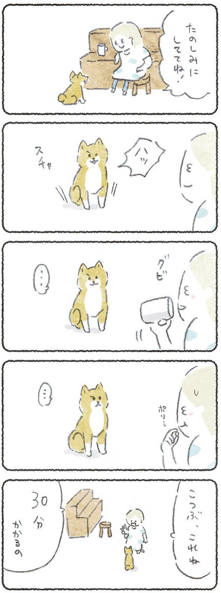 毎週月よう日はこつぶ最新話の日?
今週も更新してもらいました

この続きはリンクから読めます↓
https://t.co/j01frV6bxZ
(8日10時まで会員さんでなくても読めます)

よろしくお願いします。 