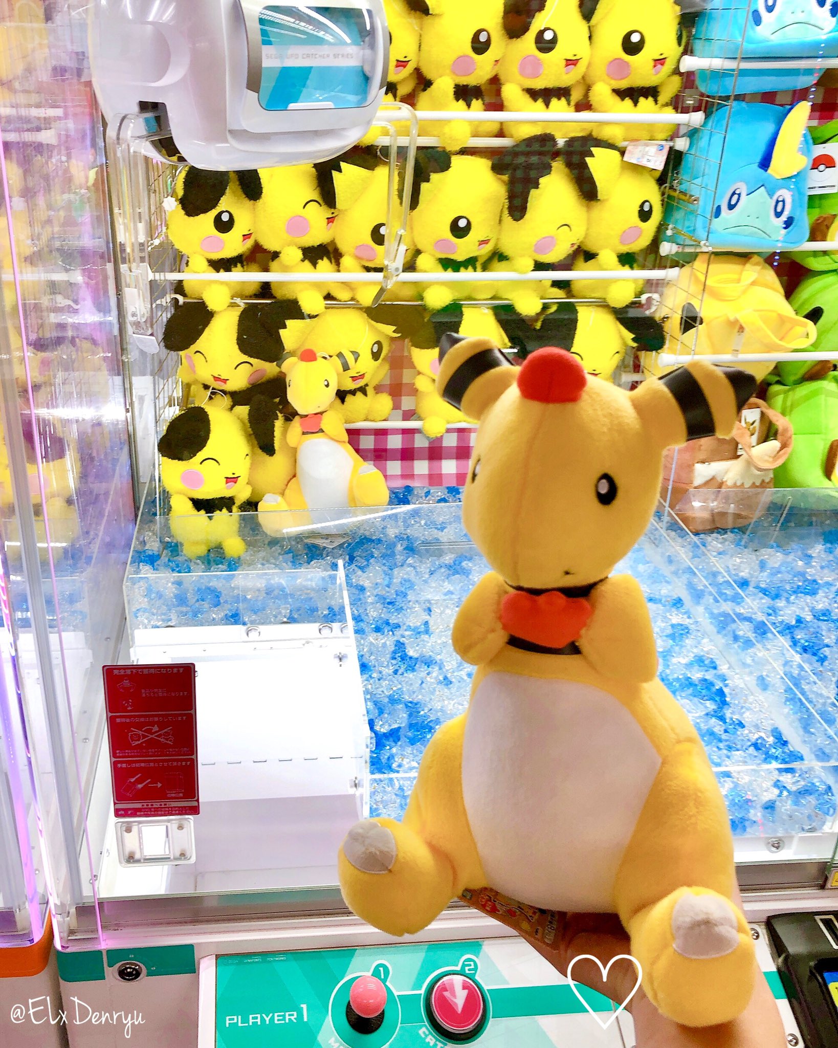 エル デンリュウ 8月日から登場のプライズ もぐもぐタイムでっかいぬいぐるみ ラッキー デンリュウ 遅くなっちゃったけど救出してきました 8 30 取扱店が少なくて 時間取って結構遠くまで迎えに行ったら既に2匹しか残ってなかった セーフ エル デンリュウ 8月日から登場のプライズ もぐもぐタイムでっかいぬいぐるみ ラッキー デンリュウ 遅くなっちゃったけど救出してきました 8 30 取扱店が少なくて 時間取って結構遠くまで迎えに行ったら既に2匹しか残ってなかった セーフ