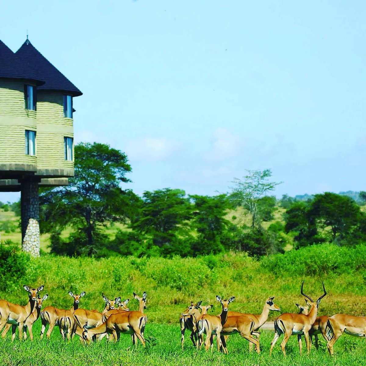 SmartviewSafar1's tweet image. facebook.com/smartview.safa…