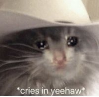careni30's tweet photo. The entire A&amp;M student body looking at the rest of Texas schools getting the day off for Labor Day https://t.co/0q55i8ptHP