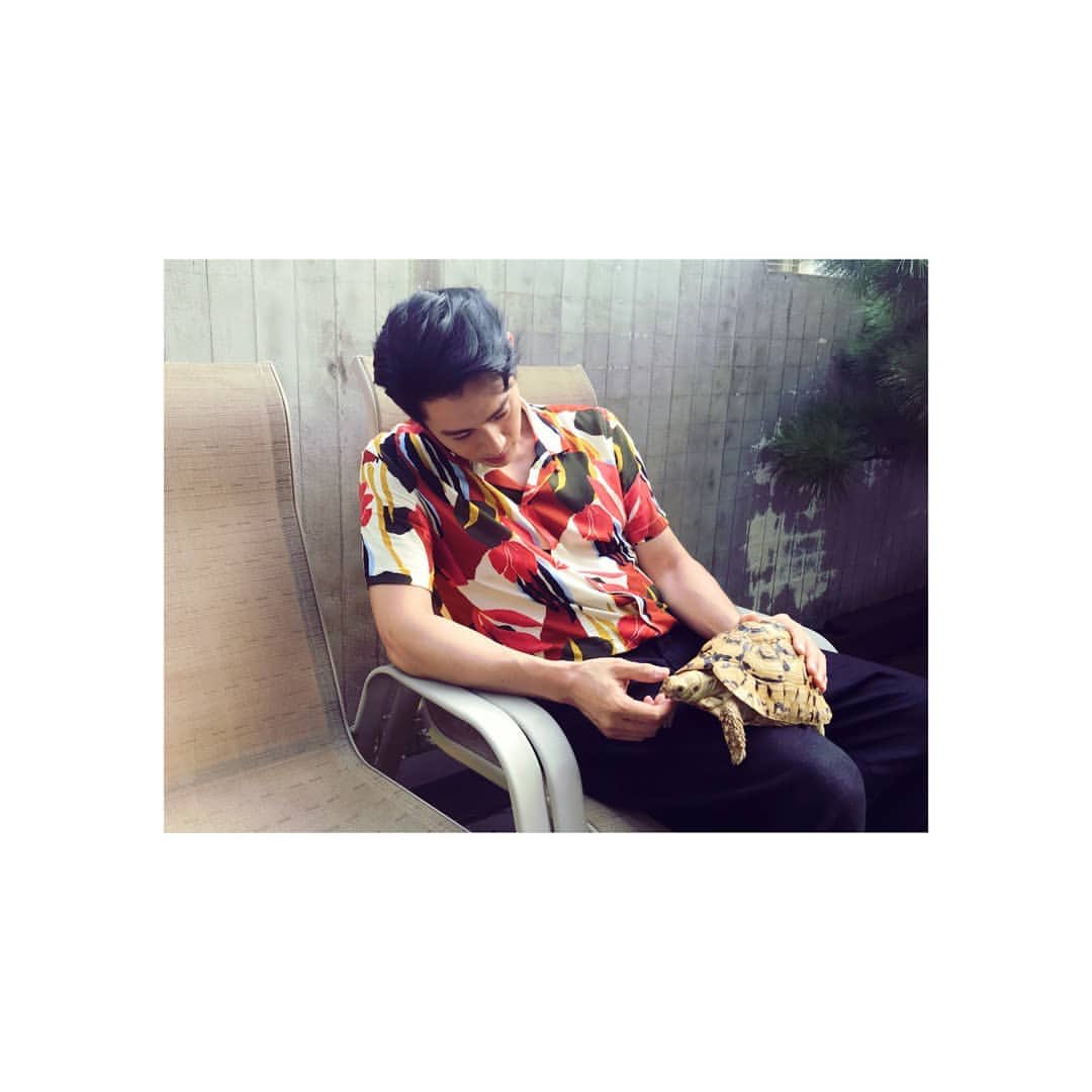 sockmonster_teo's tweet photo. 200907 인스타 석장 #유태오

정시우의 A room 인터뷰
https://t.co/Qc6n1x5OZZ유태오 https://t.co/vfnqVtmJ5Q