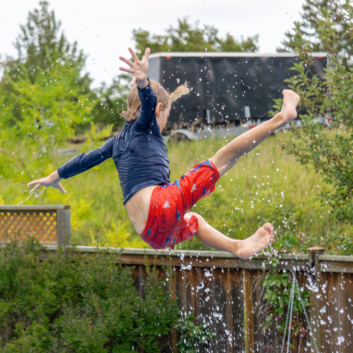 tracygregorash's tweet photo. Not my usual subjects, but they were flying pretty good! 🤣 #pooltime #closingsoon #Neighbours #littlefriends #speedysummer https://t.co/nlzLdnJKhy