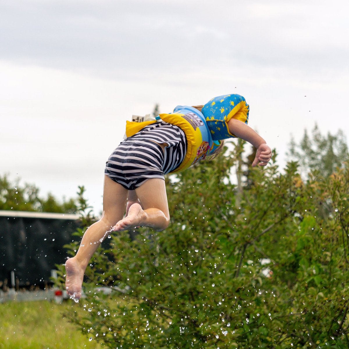 Not my usual subjects, but they were flying pretty good! 🤣 #pooltime #closingsoon #Neighbours #littlefriends #speedysummer