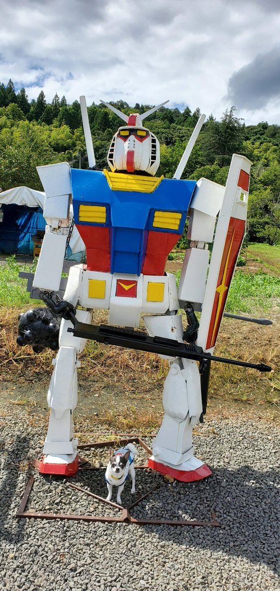 eitoyudu's tweet photo. へたれガンダムとエイト君📸✌🐼

福島県福島市の有名観光スポット⁉️😂(私達しか居ませんでした）

ガンダムファンは必見です🤣(笑)

#ガンダム
#へたれガンダム
#チワワ　#スムースチワワ
#犬好きさんと繋がりたい https://t.co/B0FMtBwPUz